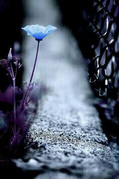 Hamadasayedin's tweet image. إنّ ذكر الله ليس استحضاراً لغائب، إنما هو حضورك أنت من غيبة، وإفاقتك أنت من غفلة.