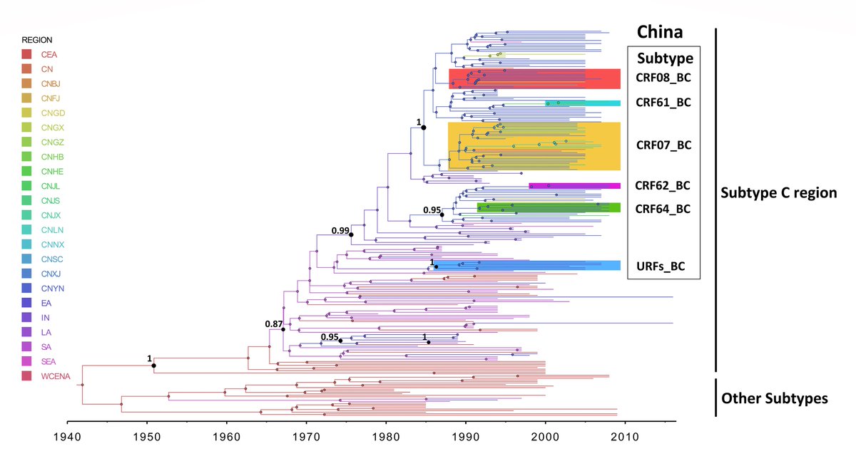 IMD_Journal's tweet photo. In a newly published research, Yiming Shao et al. has reconstructed the origin and worldwide epidemic history of HIV-1 subtype C and demonstrated that the Chinese HIV-1 subtype C originated from three related Indian lineages around the mid to late 1980.
https://t.co/AwgdNSGdIJ https://t.co/t1Pa7daXRB