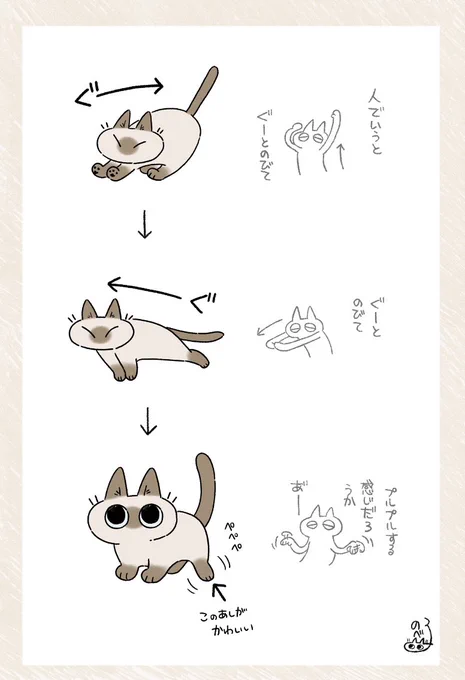 🥱 #シャム猫あずきさんは世界の中心 