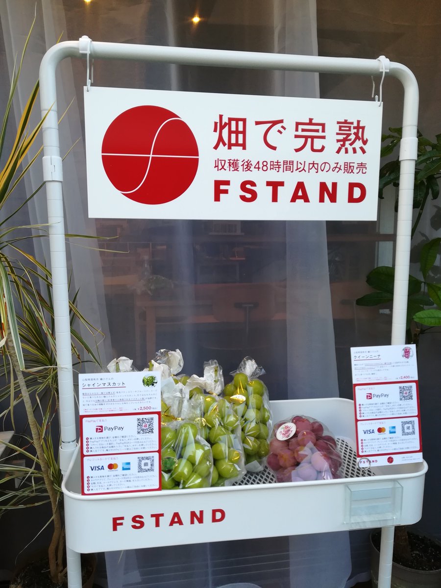 YYAIDCSqs2gcygM's tweet photo. 畑で完熟 #FSTAND
昨日やっと買えた😆
前から気になってたんだけどなかなか都合合わなくて
🍇 #クイーンニーナ
🍇 #シャインマスカット
めちゃおいしい😋😋😋
前に小布施駅改札内で買ったシャインマスカット思い出した☺️
産地と変わらない美味しさお届けいただき感謝です💞 https://t.co/UBfBNOLwq4