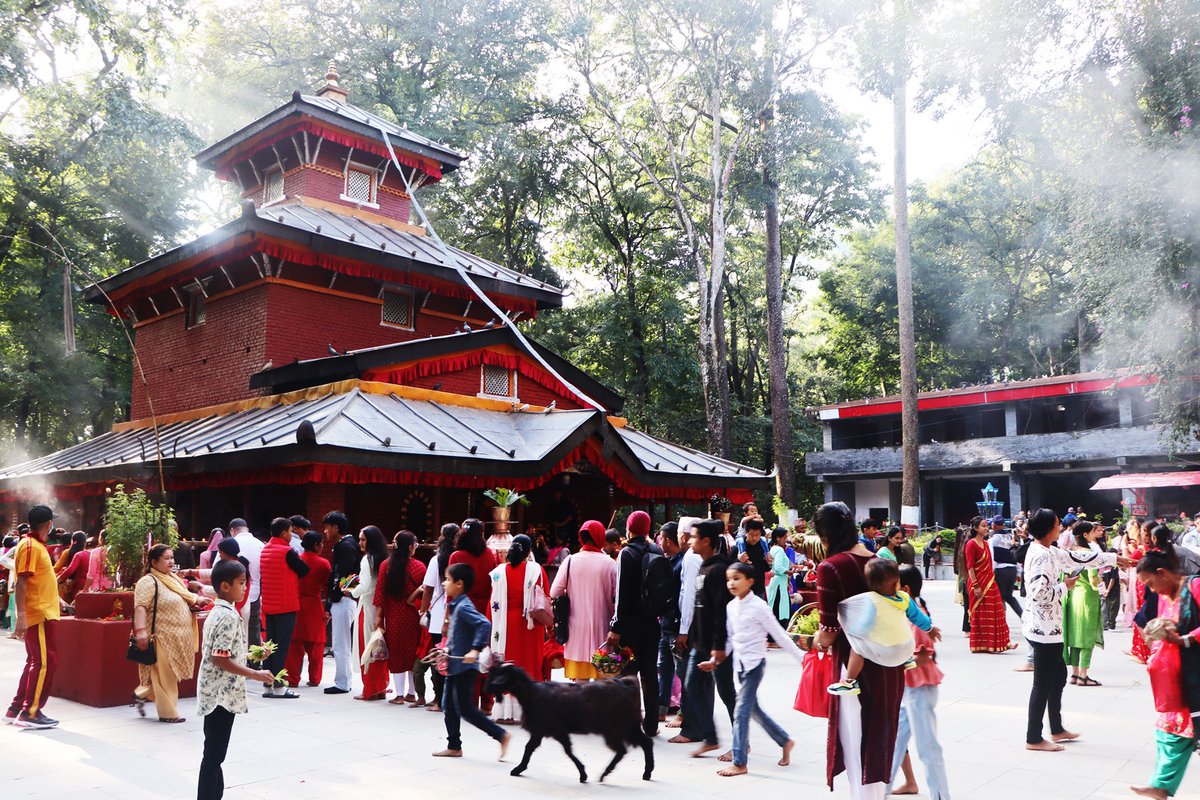 kchalise's tweet image. जमरा राखेर सुरु भयो दसैं
karobardaily.com/news/202094
@karobar_daily @ekarobar_daily #jamara #dashain #started