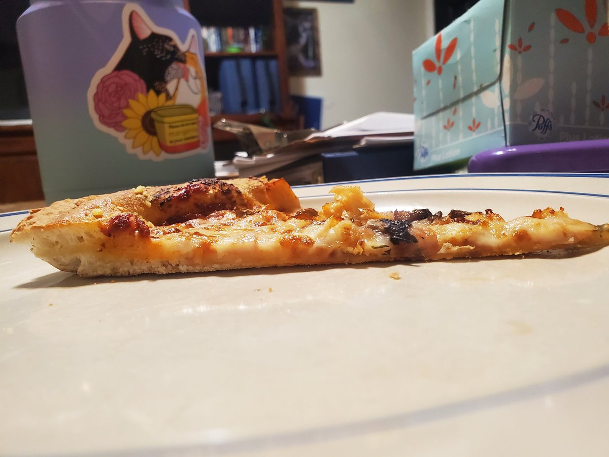 DirshmaKat's tweet photo. @dominos THIS is "extra" cheese? Srsly? #dominospizza #fail https://t.co/aApNoN6YMv