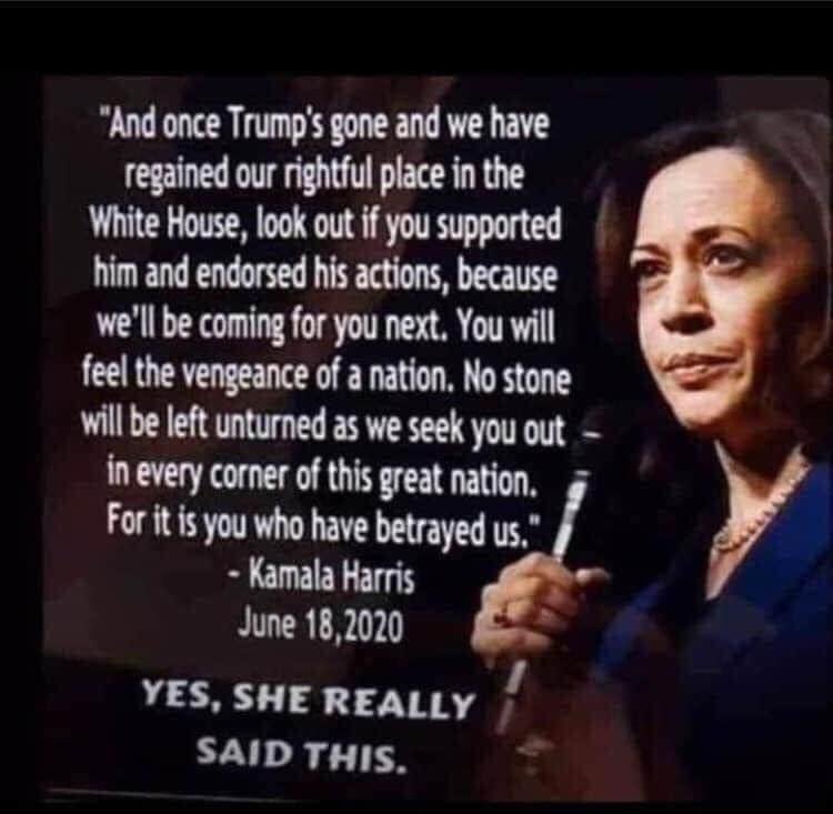 by_bowling's tweet photo. @Gov4Sale @DickesonKathy your useless V.P. said it... 

Ohh I forgot and she said the border is secure... https://t.co/FHsL1LBb7N