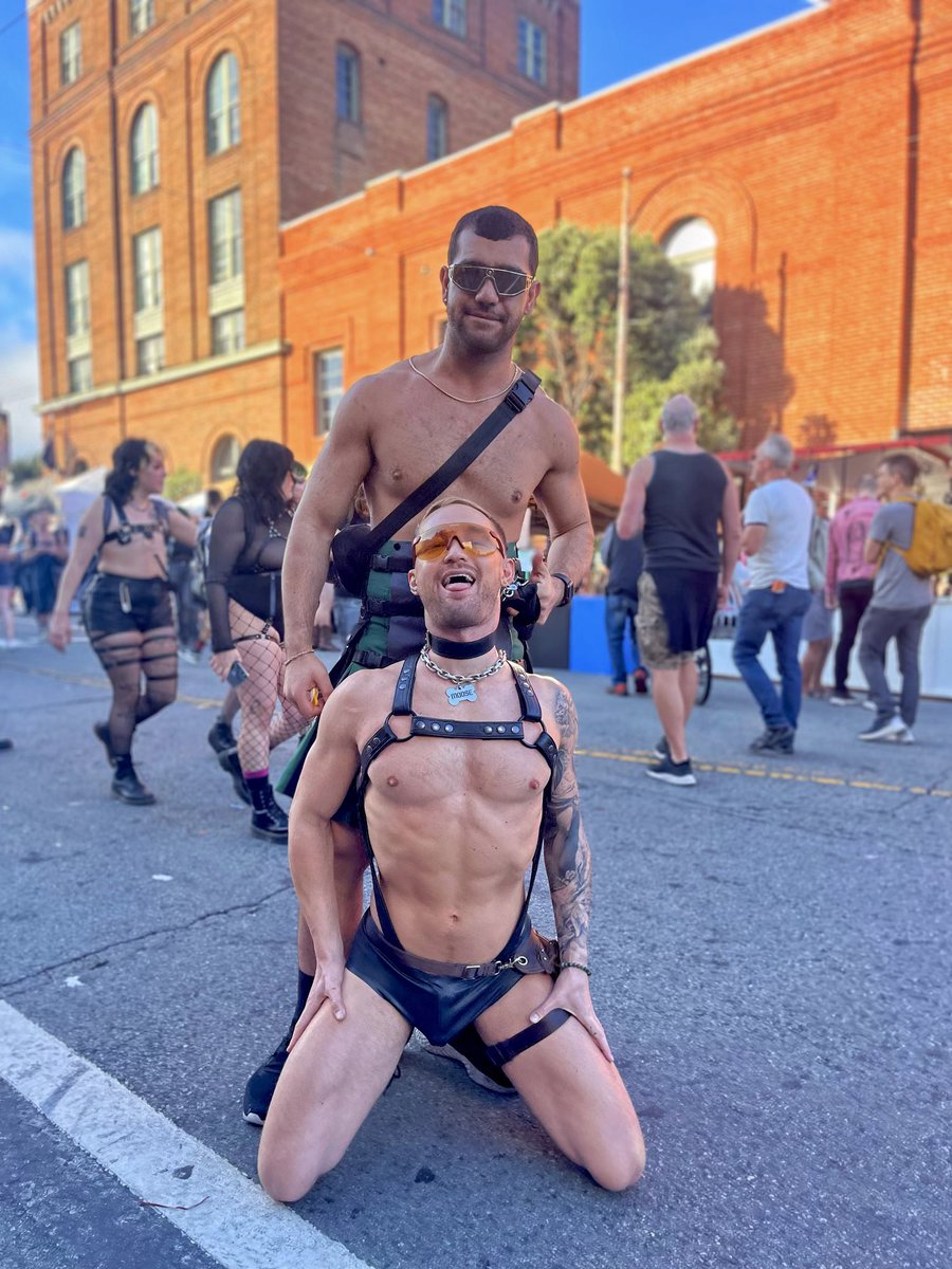 The Downward Facing Doggo tweet media