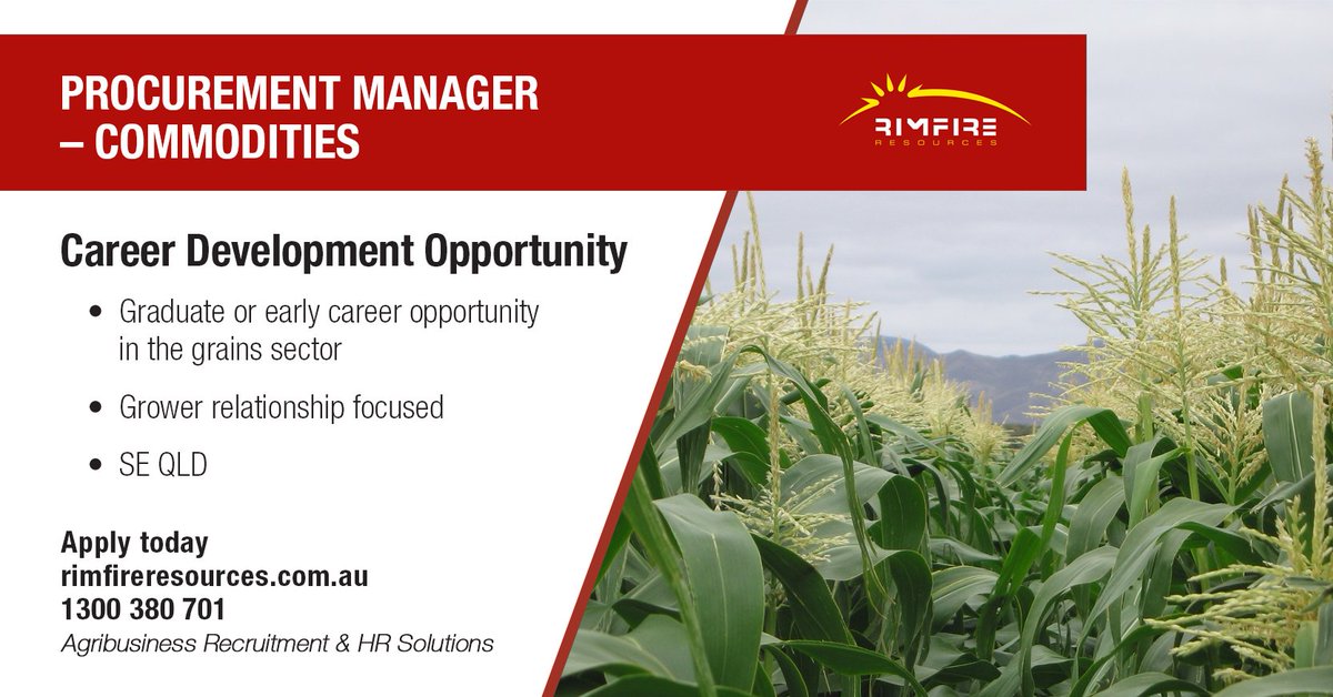 rimfireresource's tweet photo. Build and develop your career working with growers to meet grain buying requirements for this family-owned maize food milling production operation.

Apply today: https://t.co/lFWxyFwTOG

#procurement #grains #commodities #agriculture #agribusiness #agjobs #jobs #rimfireresources https://t.co/KBDJ8XHnDX