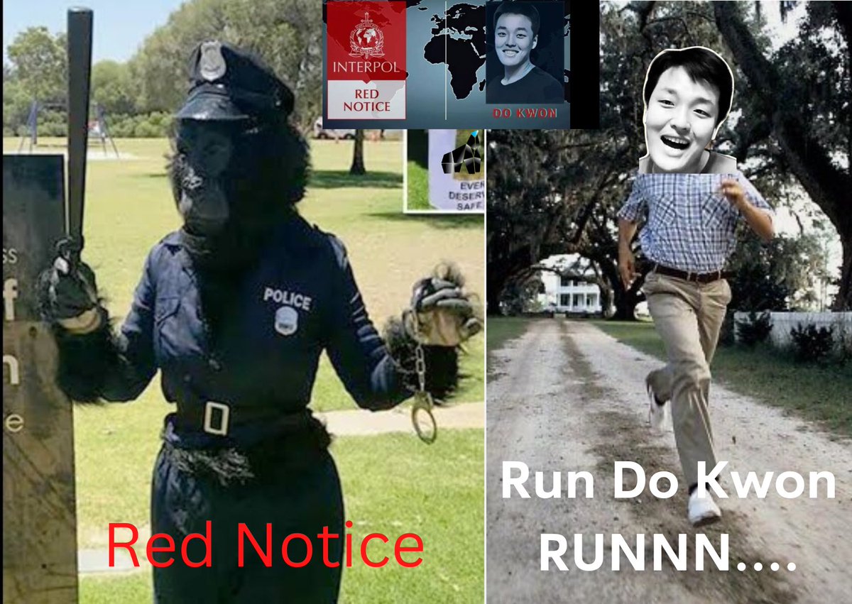 digiape888's tweet photo. When Forrest enters the crypto world…

#NotFinancialApvice #buythedape #digiape #dape
#apevolution #memestery #cryptocurrency #Bitcoin 
#bscgem #notfinancialadvice #lunc #lunaclassic #dokwon #forrestgump #dump #esteh https://t.co/8dzIpidw7U