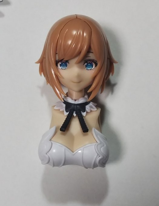 こりゃすごい、めっちゃ美人

メカも美少女も長年続けてきたコトブキヤだからこそ、って感じね 