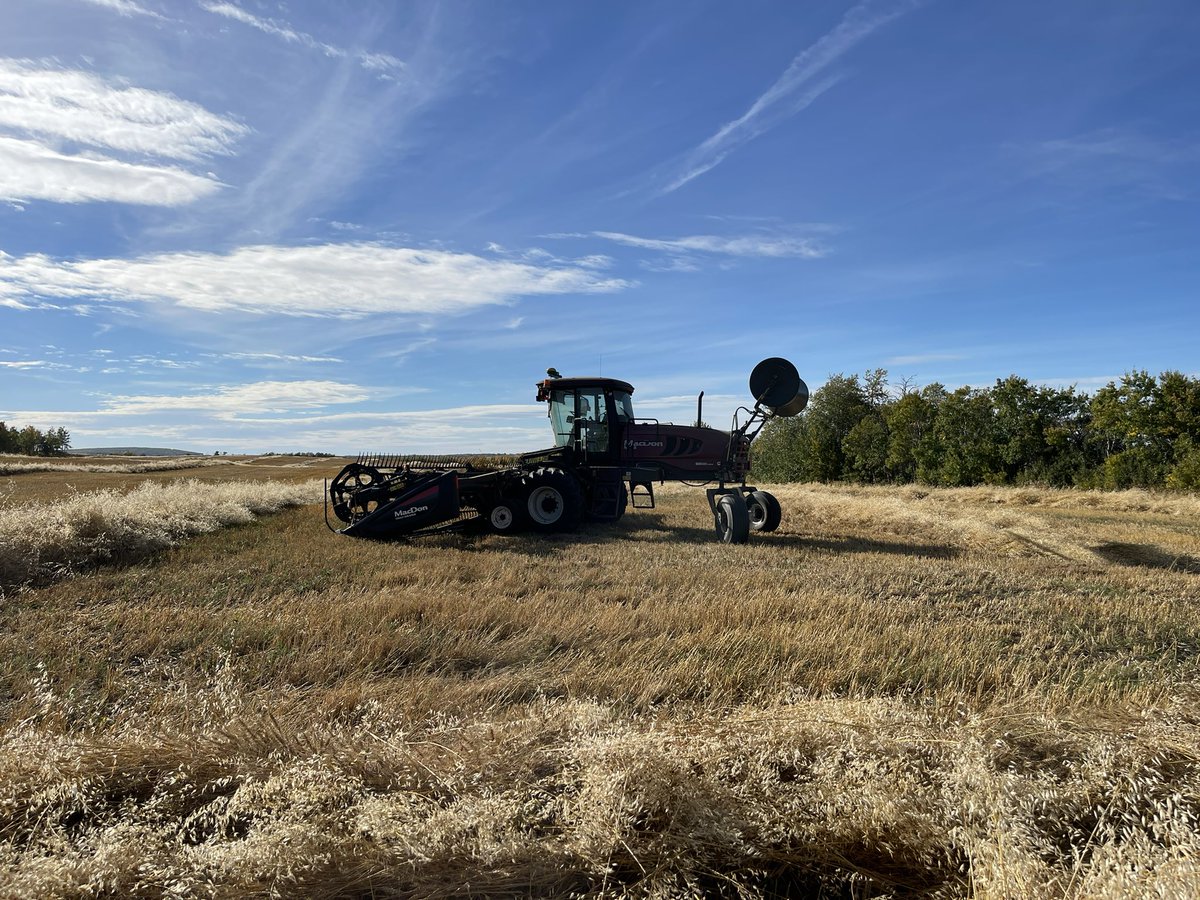 FarmerBoy9870's tweet photo. @ImperialSeed #fieldphoto https://t.co/gQL6qK6rQG
