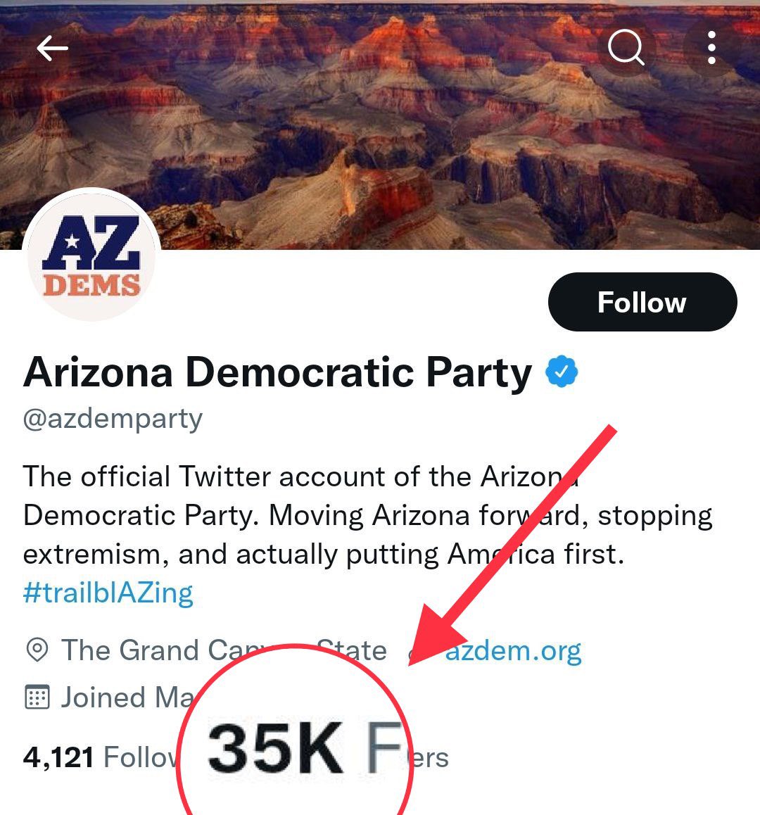 Kari Lake on Twitter: "This is fun! @azdemparty has had 13 years to