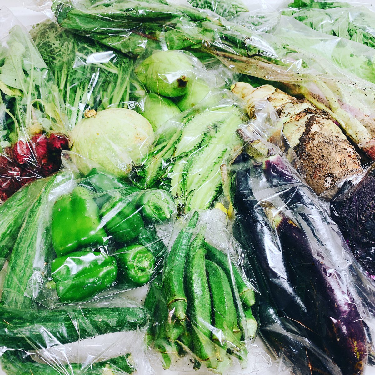 MayumiONO8's tweet photo. 今週のお野菜達🥬🥒🍆🥔🍅
#膠原病 #シェーグレン症候群 がいつのまにか治った #無添加 で#glutenfree な #おうちごはん😋 #additivefree #organic☘️ #発酵発芽玄米🍚 #ジビエ🥩 #無肥料無農薬固定種のお野菜 🥬 #caffeineless☕️ #japan https://t.co/wb42DvDGfm