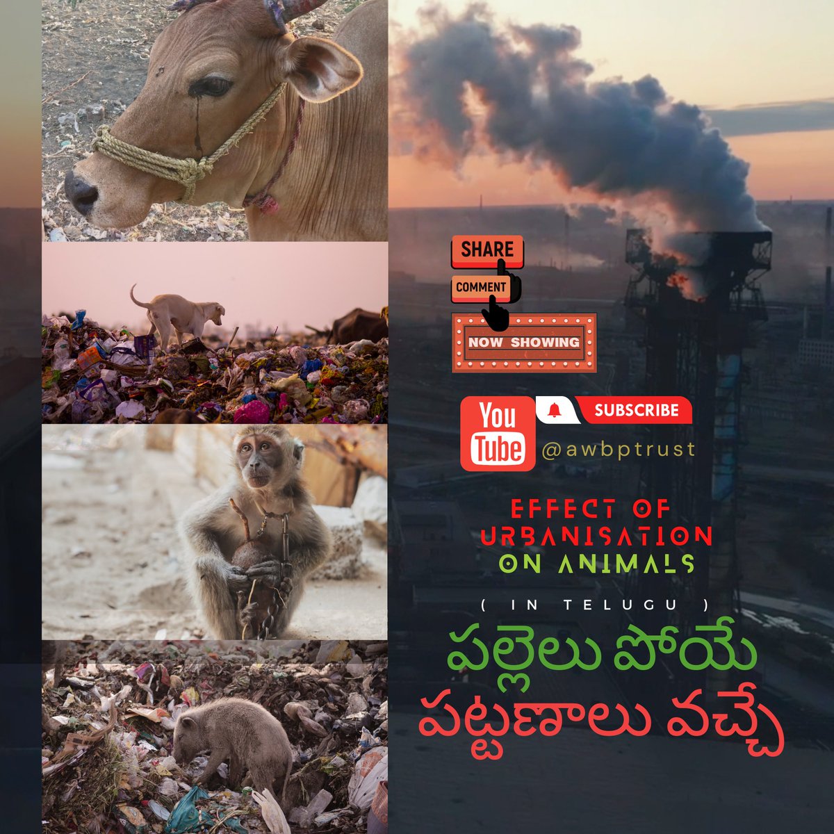 AwbpTrust's tweet photo. Effect of Urbanisation On Animals - Musical Album song in Telugu

https://t.co/gQtXJo2kL5 https://t.co/Wg31EQxQ6n