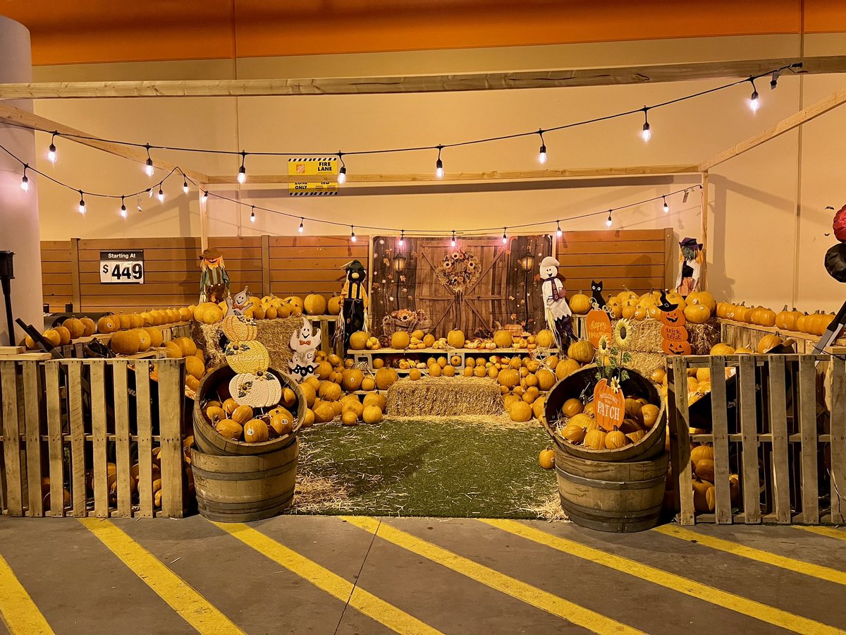 *Late Post* but Welcome to the Commerce Home Depot Pumpkin Patch 🎃🎃🎃
