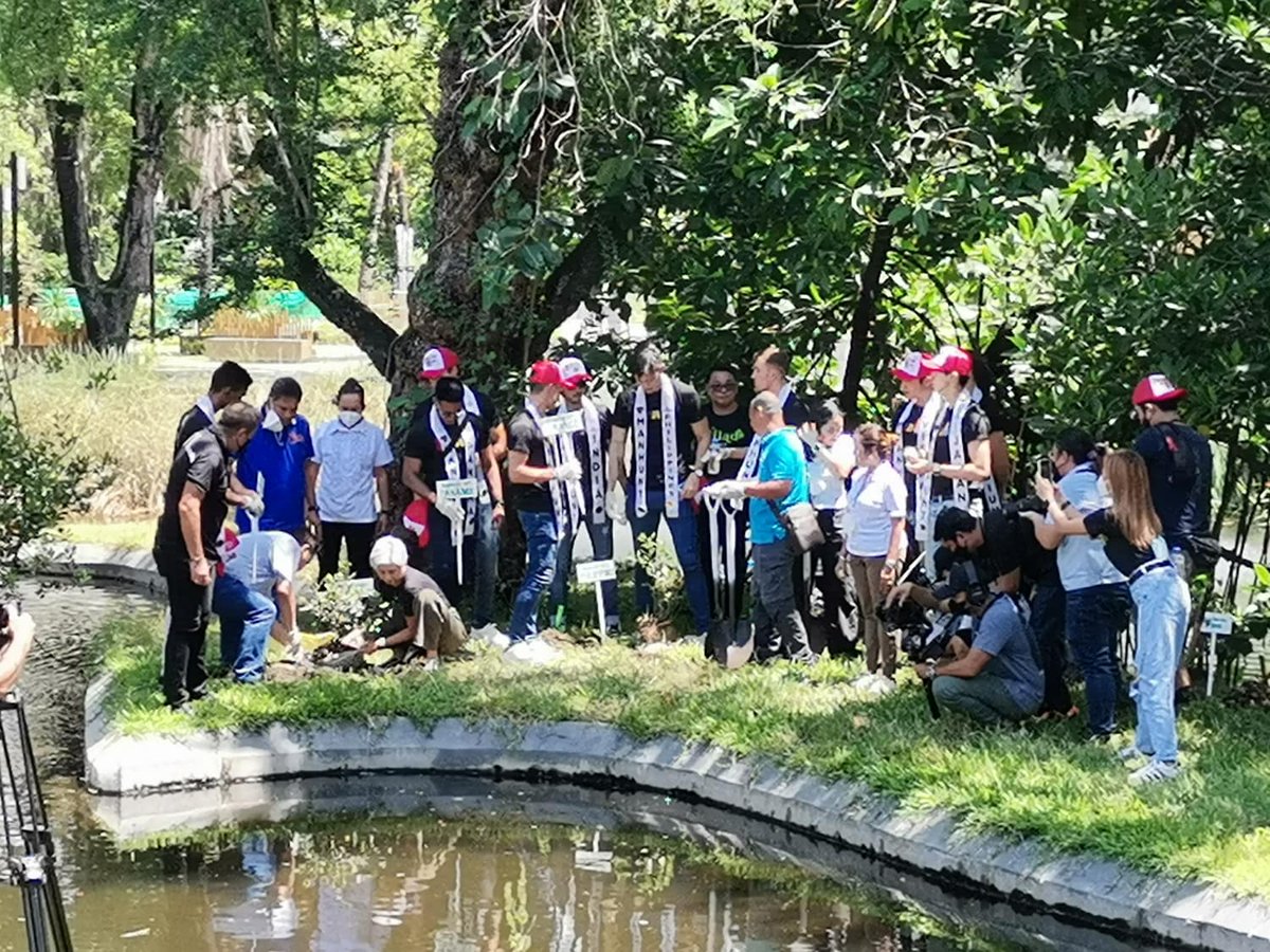 smninews's tweet photo. NILAD FOR MAYNILA

TINGNAN: Manila Mayor Honey Lacuna-Pangan nanguna sa pagtatanim ng 'nilad' bilang bahagi ng Ceremonial Tree Planting Activity ng LGU ngayong araw sa Manila Zoo. 

Ang 'nilad' ay isang uri ng mangrove specie. 

via @margotgonzales_ 

1/2 https://t.co/yHXGtiTU6g