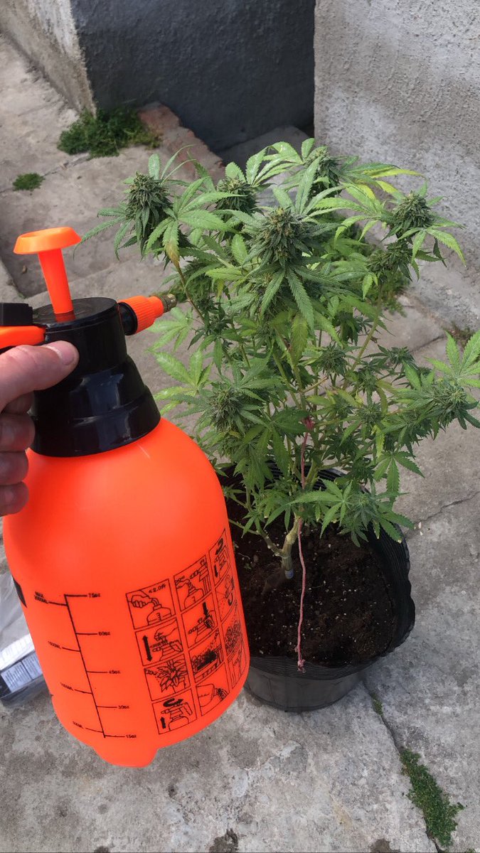 Se vino la primavera 🍁