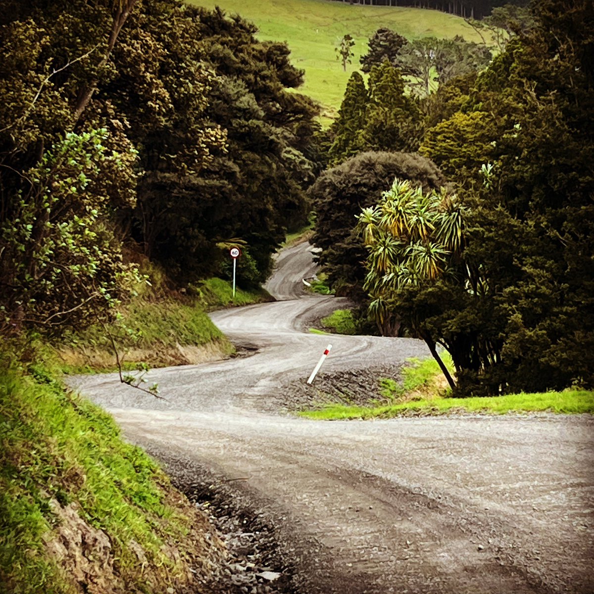 Becsywecsy's tweet photo. No words needed.

#NewZealand #WRCLive @RallyNewZealand https://t.co/HuiMuQUKxD