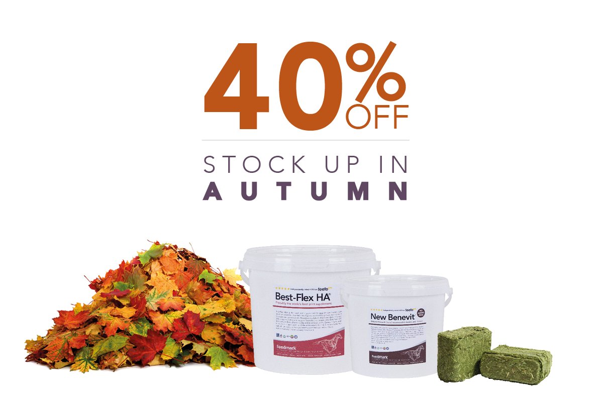 Feedmark's tweet image. 40% OFF AT FEEDMARK

Autumn is here, and to help you feed better for less™ we're offering 40% OFF our science-based supplements! 

To stock up on your horse's favourite products this autumn, just fill your basket and apply code: 𝗔𝗨𝗧𝗨𝗠𝗡

feedmark.com/en/
#feedmark