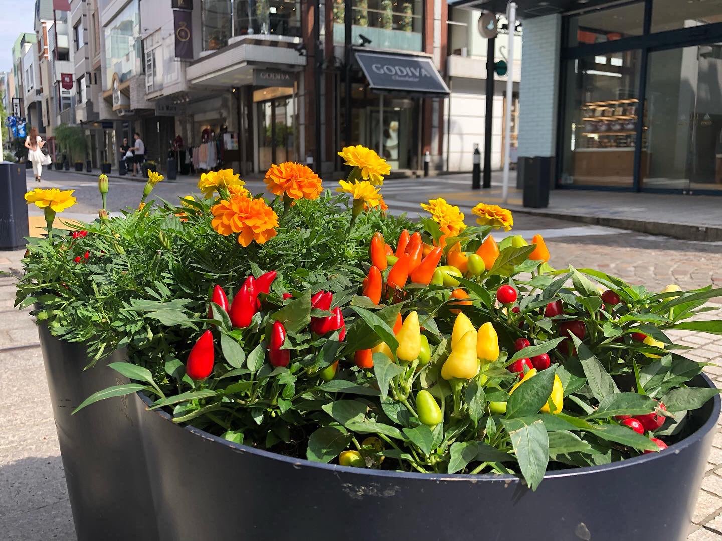 公式 横浜元町shopping St Yokohamamtmc Twitter