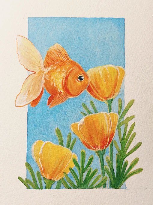 fish out of water 