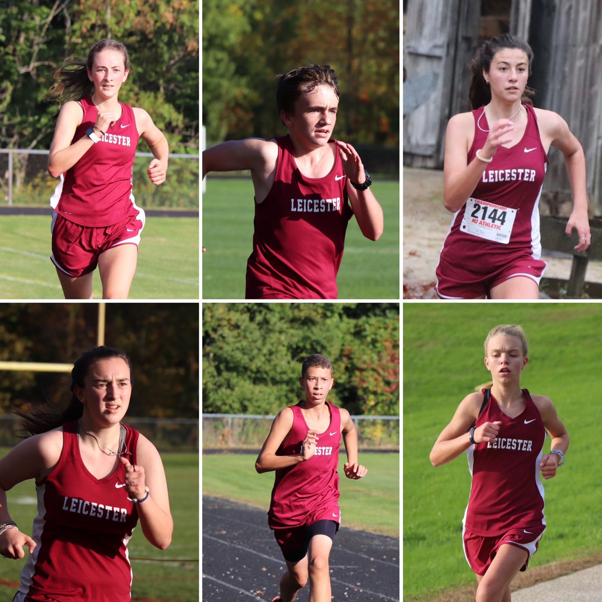 Steph Bernabei tweet media