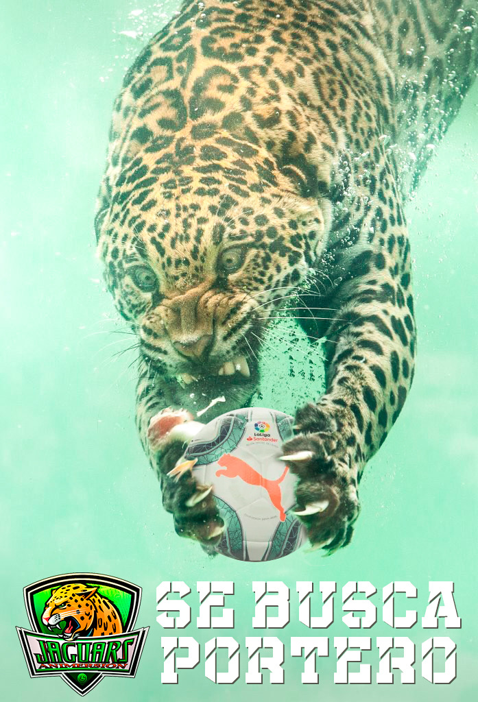 🎮 PS5 -Somos club veterano que jugaremos en 3ª VFO y buscamos jugadores en las siguientes posiciones para cerrar plantilla.

▪️ 1 PORTERO
▪️ 1 DFC
▪️ 1 CARRILERO
▪️ 1 DC

📩 Si estás interesado, ponte en contacto con nosotros.