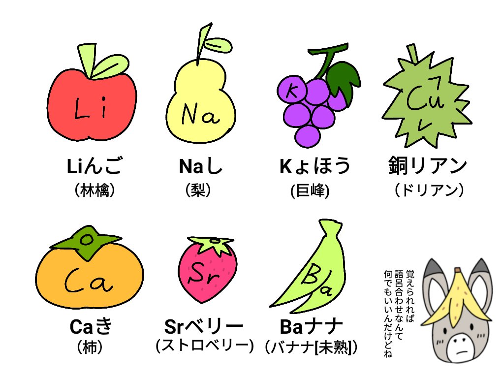 活動歴および当時の関連ビジュアル記録
