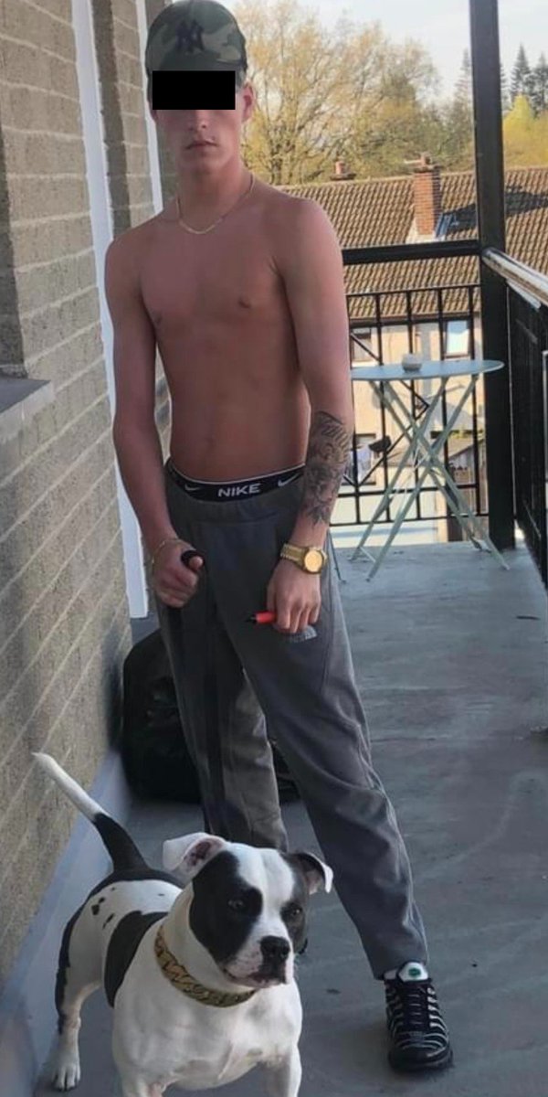 Scamlads's tweet photo. There's little point in complaining about what you can't control

You're a loser
A fuck up
A failure
Addicted to censored scamlads

And you always will be

Accept it and the debt that comes along with it https://t.co/ODwKDczLjE