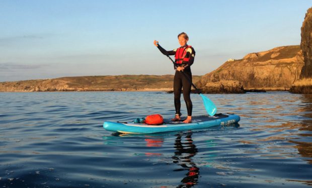 Cool of the Wild tweet media