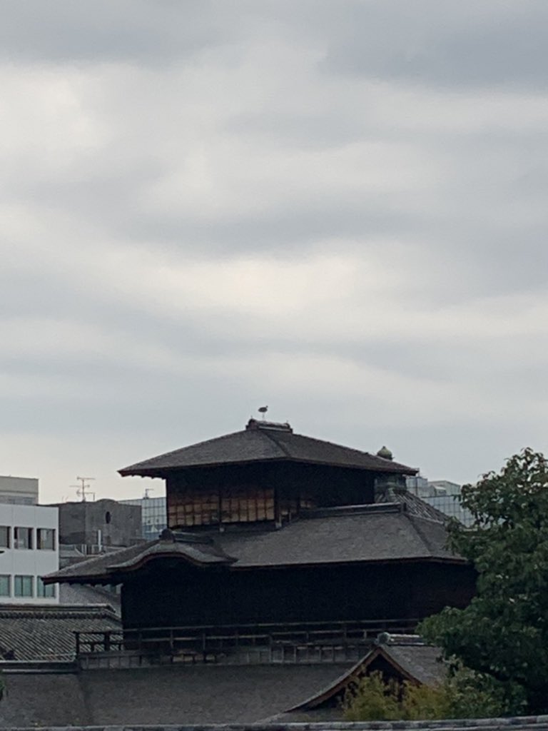 お西さん 西本願寺 Nishi Hongwanji Twitter