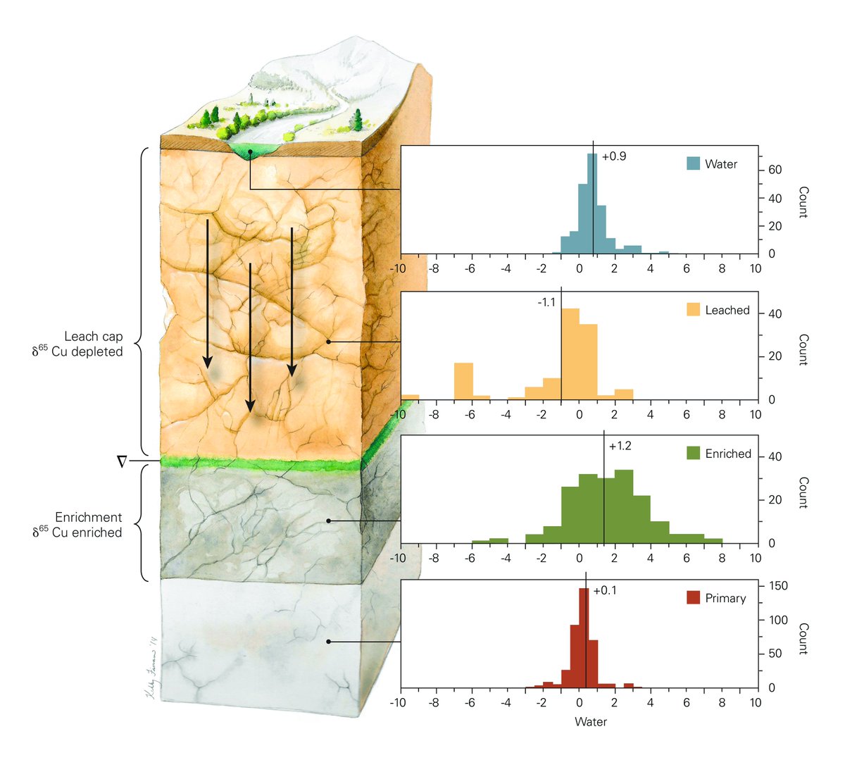 #geology aqui tenim les mineralitzacions que el Romans ja coneixien.Enriquiment "per descensum". Una figura del Congrés Geològic de Xile, en aquest cas pel coure.