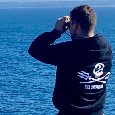 zittopurepazzo's tweet photo. #NouvellePhotoDeProfil mais où est donc cette petite baleine ? 
📸:@Pukoune https://t.co/jquQwIu1gq