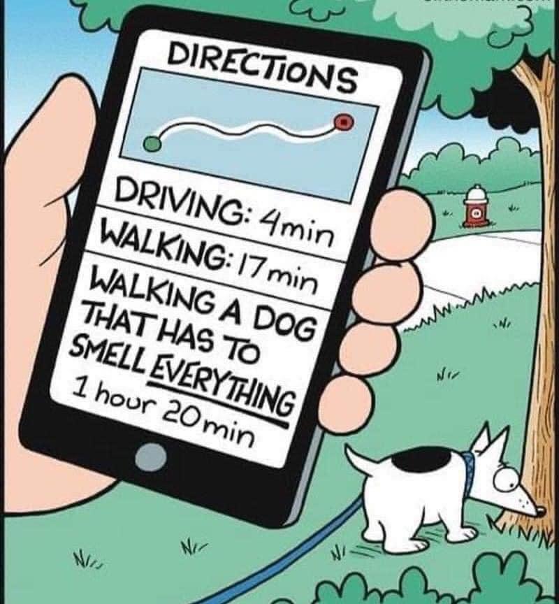 Brie's World 🌍🇬🇧🇨🇭 tweet media