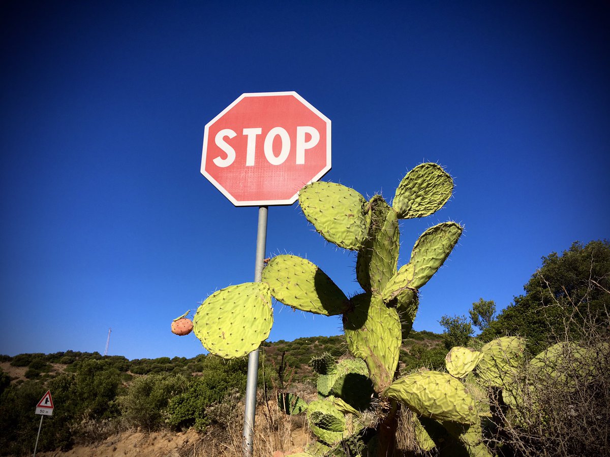 ByFrange's tweet photo. Stop! #contrast #colours #Villassimius #Addiction2022 #Sardegna https://t.co/6X7Vu03fos