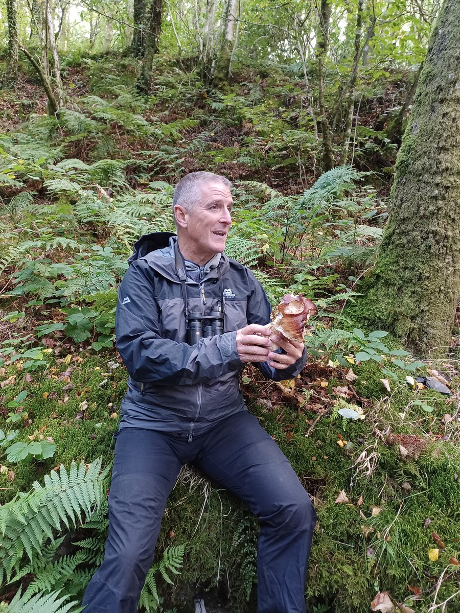 MenterMaldwyn's tweet photo. Taith Gerdded hynod ddiddorol efo @IoloWilliams2 pnawn ddoe yn Llanwddyn a chriw bobl ifanc y #prosiecthinsawdd 🐿🐦🐝🌳🌿🍁🍂Pawb di dysgu lot am y coed, planhigion, aeron, madarch ac adar o'n cwmpas!
@mentrauiaith @YsgolLlanfyllin
#cynddisgyblion #localBoyDoneGood #dimsiorts https://t.co/v4XVK4ecmT
