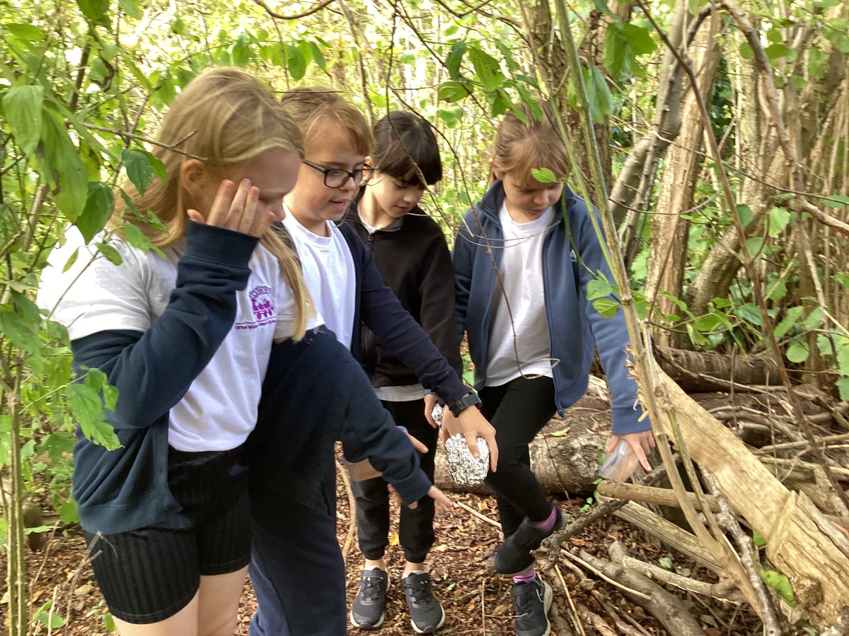 OWPSflamingoes's tweet photo. Our project research continues outside. Using our understanding of hedgehogs’ needs we are now selecting an appropriate location for our shelters. We are so lucky to have such an abundance of woodland on our school grounds! #OWPSstem @STEMLearningUK @OWPS_pandas @WildlifeTrusts https://t.co/UklwzWQSSQ