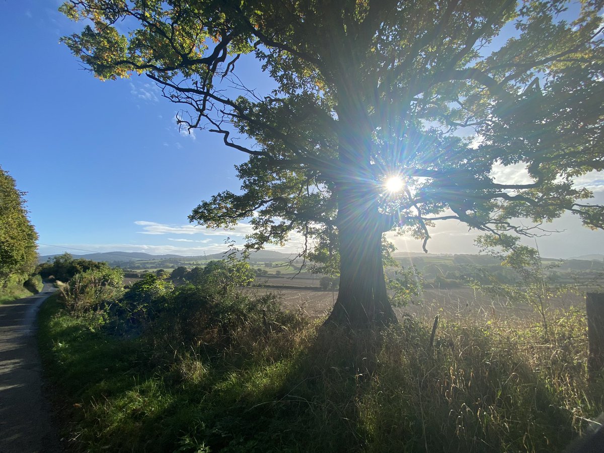KMortimore's tweet image. A smashing morning in the Shire 😍 #Herefordshire #ruralviews #nature #BritishCountryside #MalvernHills #Ledbury #artistrunner #running #artist #landscape #nicelight #treesontheturn #Worcestershire