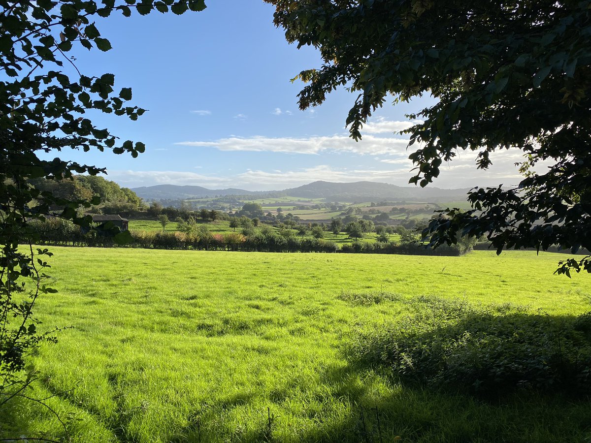 KMortimore's tweet image. A smashing morning in the Shire 😍 #Herefordshire #ruralviews #nature #BritishCountryside #MalvernHills #Ledbury #artistrunner #running #artist #landscape #nicelight #treesontheturn #Worcestershire