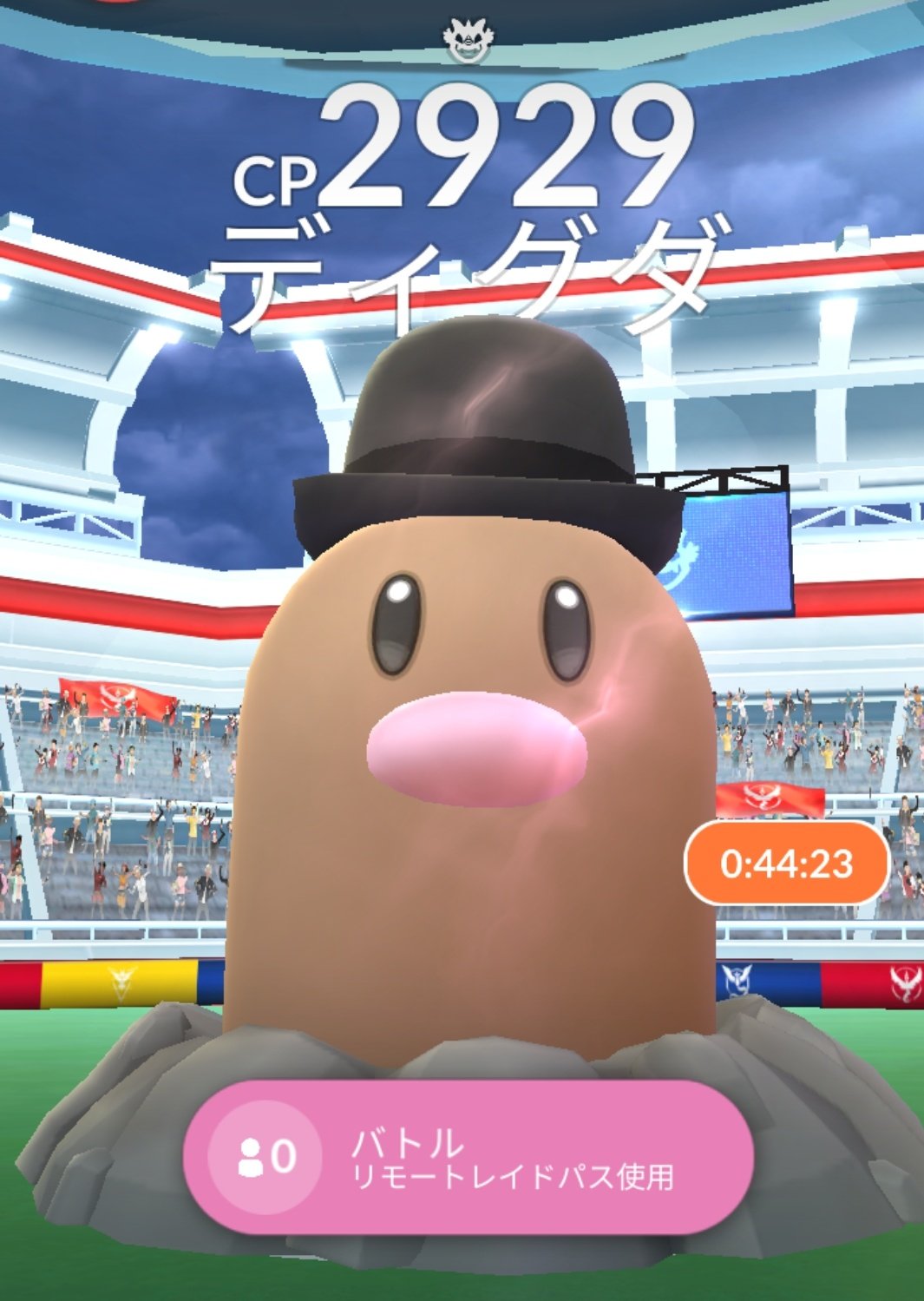 絞る アドバイス 薄いです ディグダ 帽子 Prime Building Jp