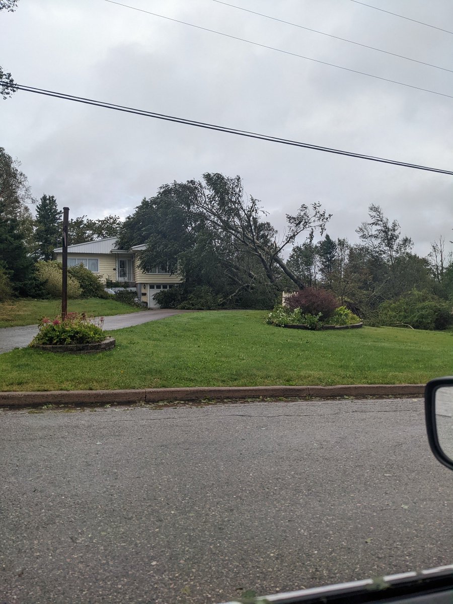 lisamjones703's tweet photo. 2 century old tree taken out by #Fiona. 😭 The person in person is 5ft 2. https://t.co/PIz77wtb5Q