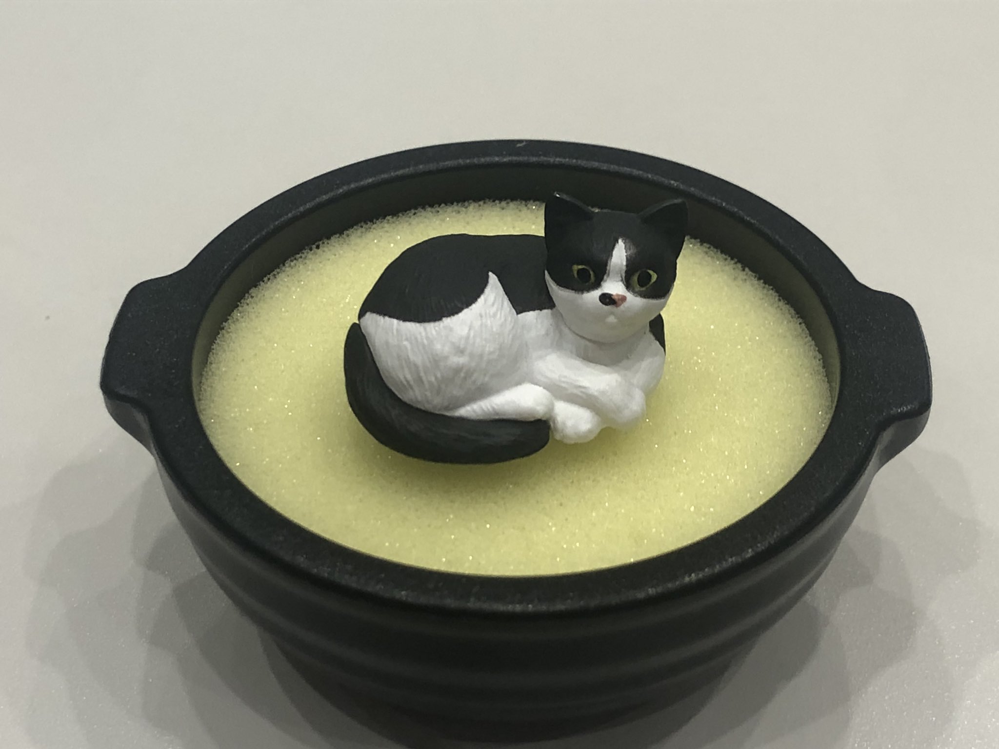 タイムセール 仲良し猫鍋 Www Sbsheriff Org