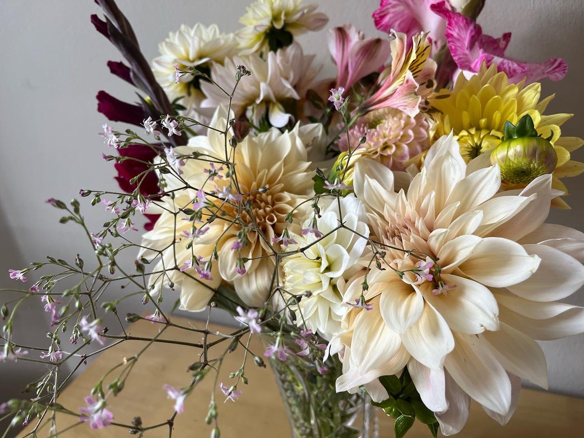 Flowers Grown In Scotland tweet media