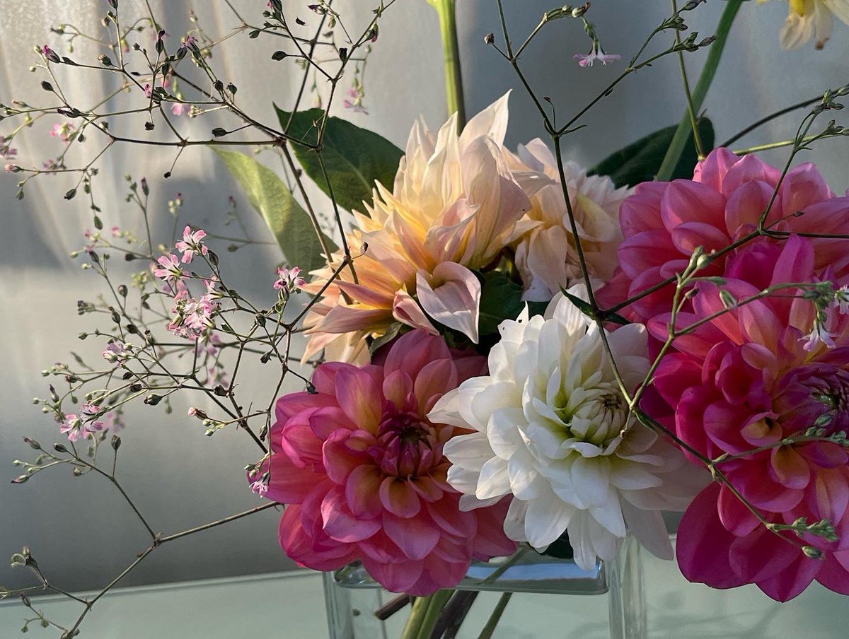 Flowers Grown In Scotland tweet media