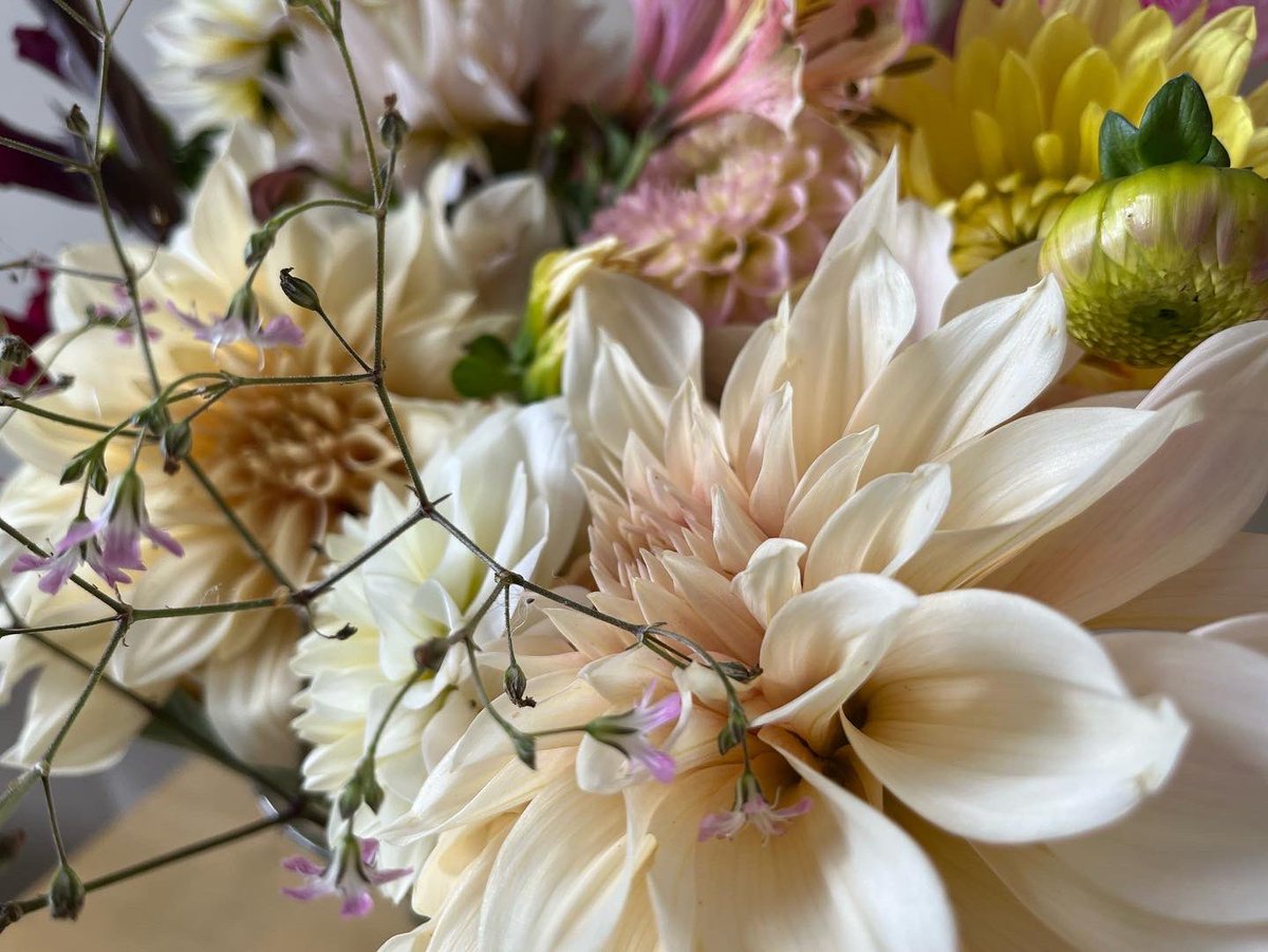 Flowers Grown In Scotland tweet media