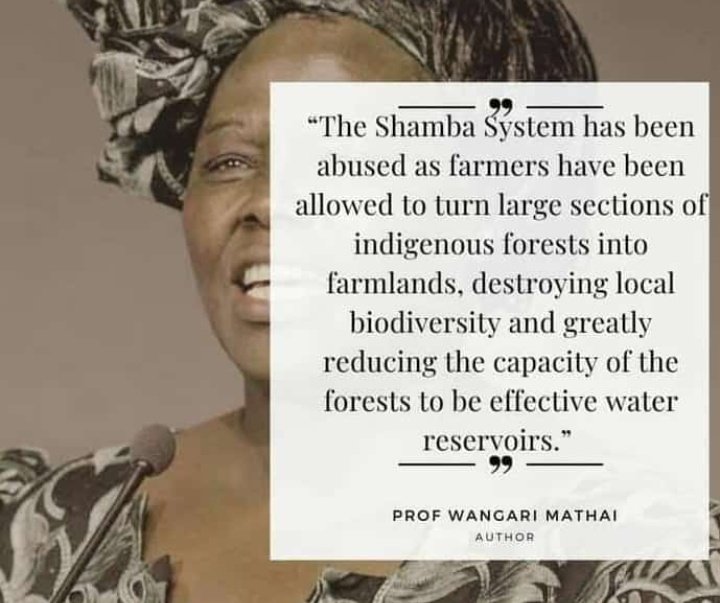 chelsea_aoko's tweet photo. #saynotoShambasystem
#ShambaSystem https://t.co/lehm6OROsh