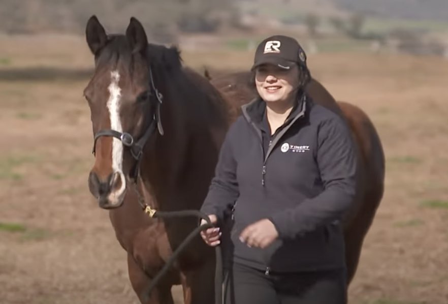 CaroSearcc's tweet photo. @cissymarg Oh so sorry Chris and Frank and the Vinery team .. you organised for him to have such a wonderful life after racing, and I know from when we filmed him for Thoroughbreds Are Go @VineryStud he was much loved and in the best of care. Dear boy ๐โค๏ธ๐ #foreteller https://t.co/BhB1en2Xdq