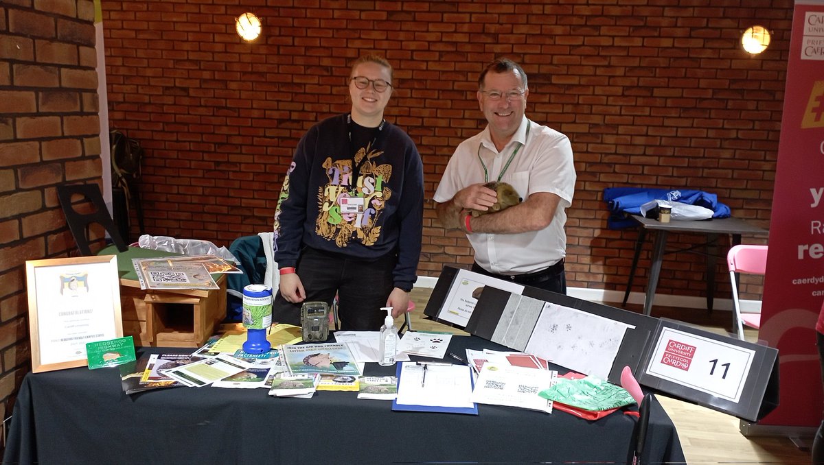 CUHedgehogs's tweet photo. Visit Keith, the 🦔, and our @HogFriendly team at the @cardiffstudents Fresher's Fair today and tomorrow to find out how you can help @cardiffuni becoming a safe haven for #hedgehogs and all wildlife 💚 https://t.co/PWsVioZNSM