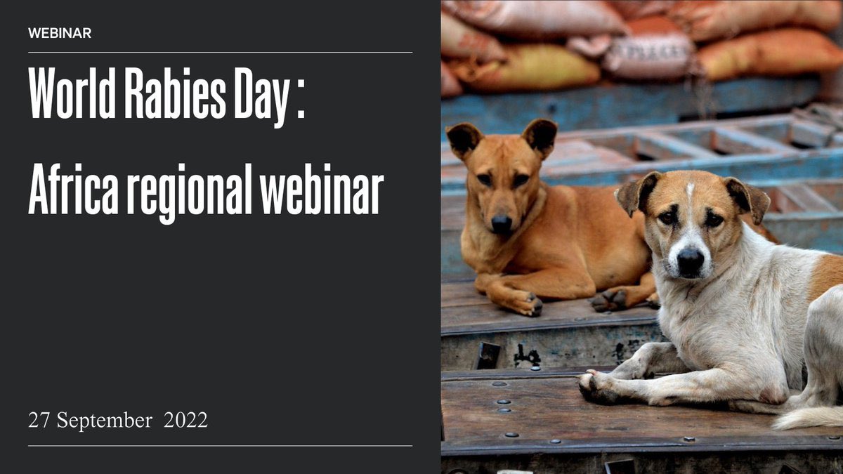 With our partners, we're organising a webinar where we'll assess national efforts of #rabies programmes in the region, & from it build advocacy for adoption of #OneHealth in implementing #ZeroBy30.  

WHEN: 27 September 2022  
Register: rr-africa.woah.org/en/events/afri… 
#EveryonesHealth