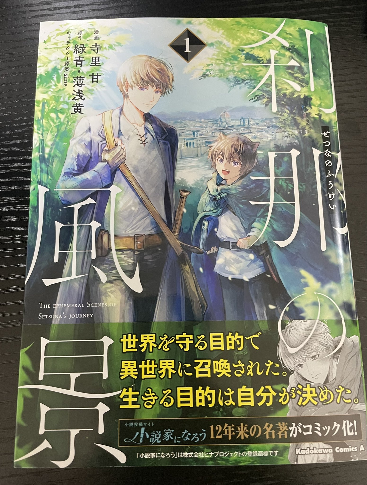 刹那の風景 Twitter Search Twitter