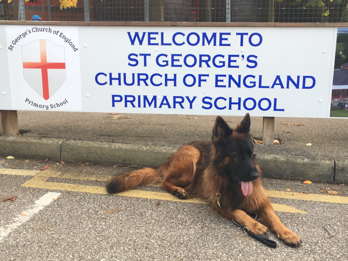 RayBates57's tweet photo. Mr @doyley1905 A job for you at St George's school, drop me a message on your return.
#Outsidelighting #Bewareofthedogs https://t.co/DidDvVD8nQ