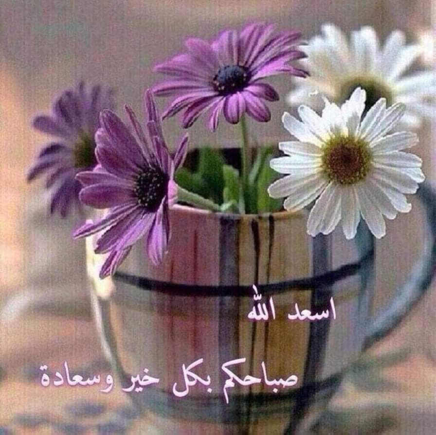 صباحكم اجمل مما تتمنون ان شاء الله
