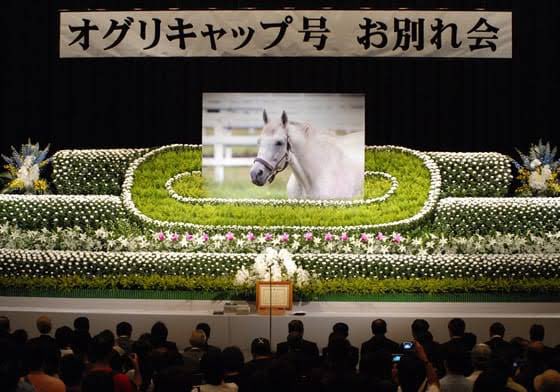 nl0rMXIuMg5FGNk's tweet photo. しかし言っちゃなんだが
マジにオグリのほうが立派なお別れ会やな… https://t.co/AkymEqF4ml